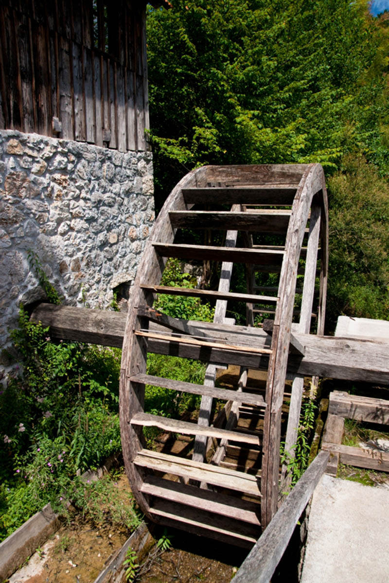 MREZNICA667 09 08 11