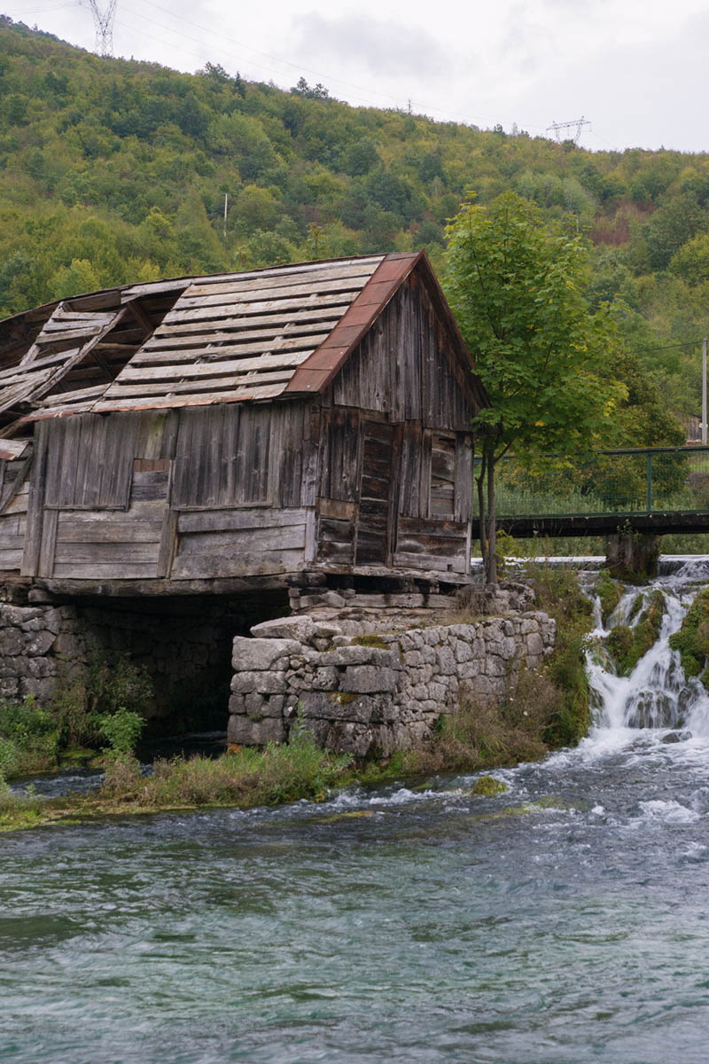 TONKOVICA VRILO46 24 09 17