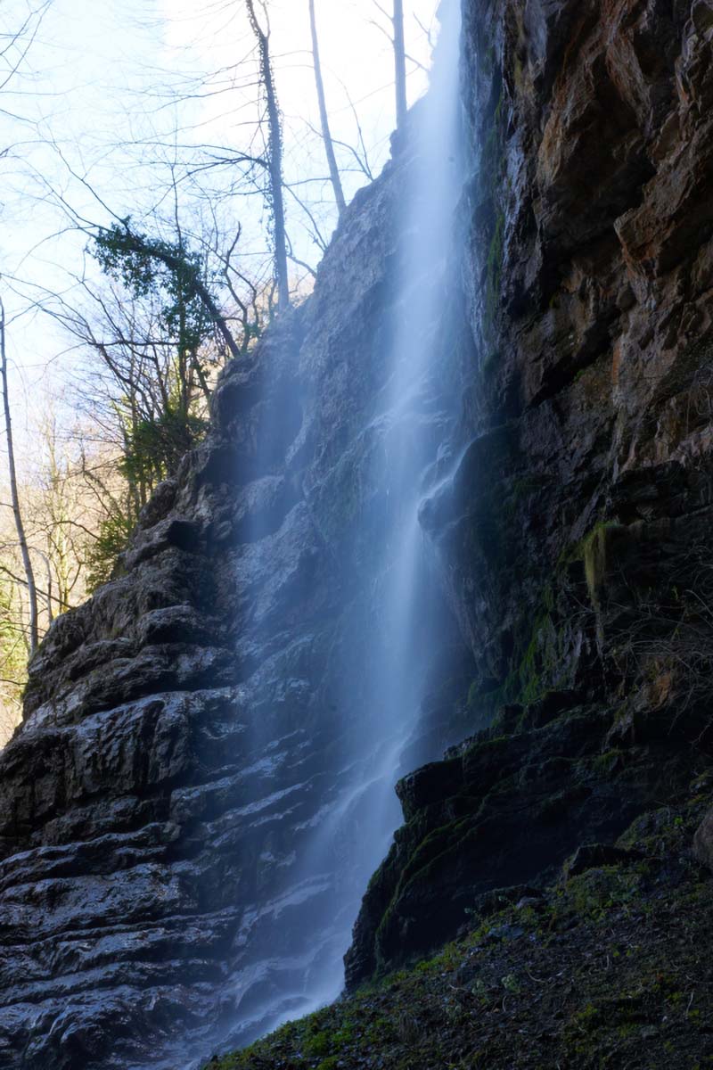 157 ZELENI VIR 02 04 11