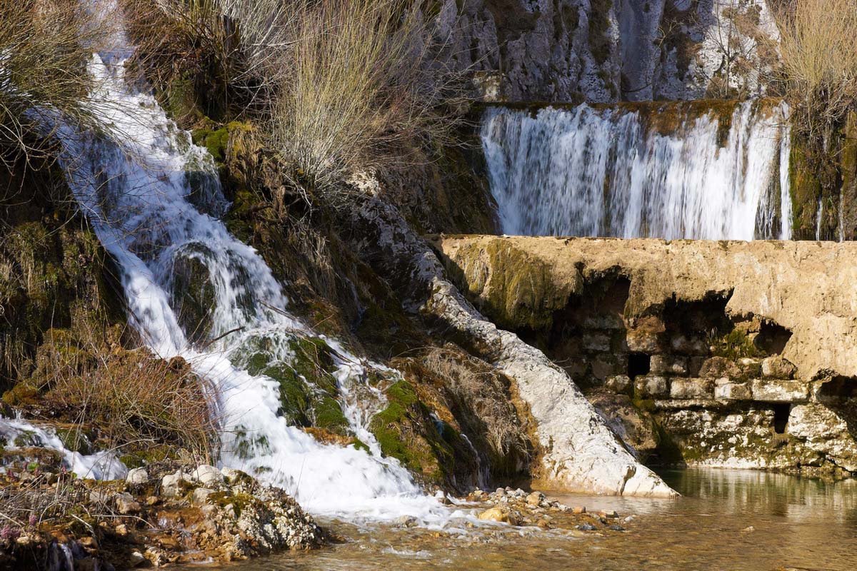 DABASNICA53 26 03 11