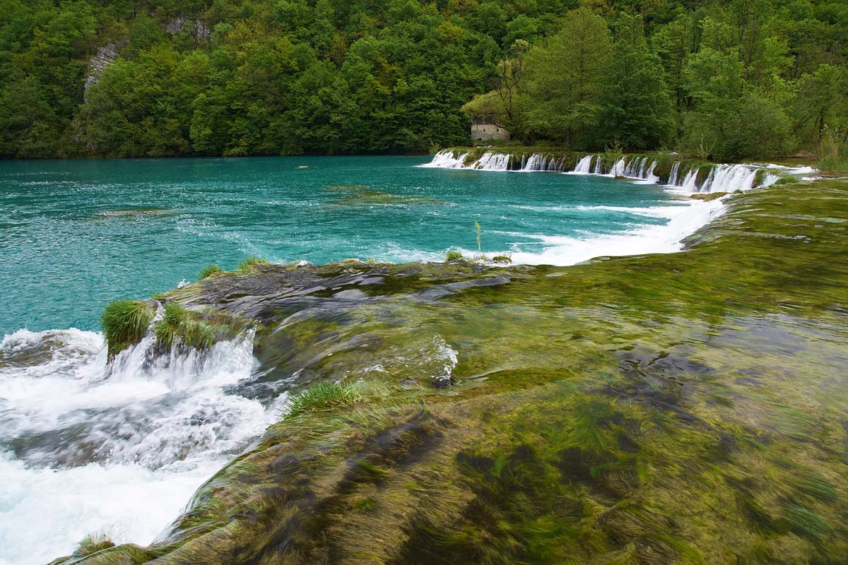 DOBRENICA SLAP53 02 05 10