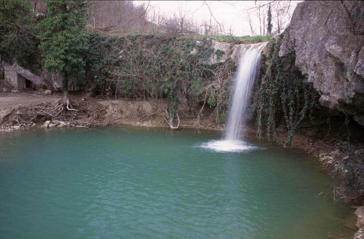 GOLOGORICKI SLAP P2A7