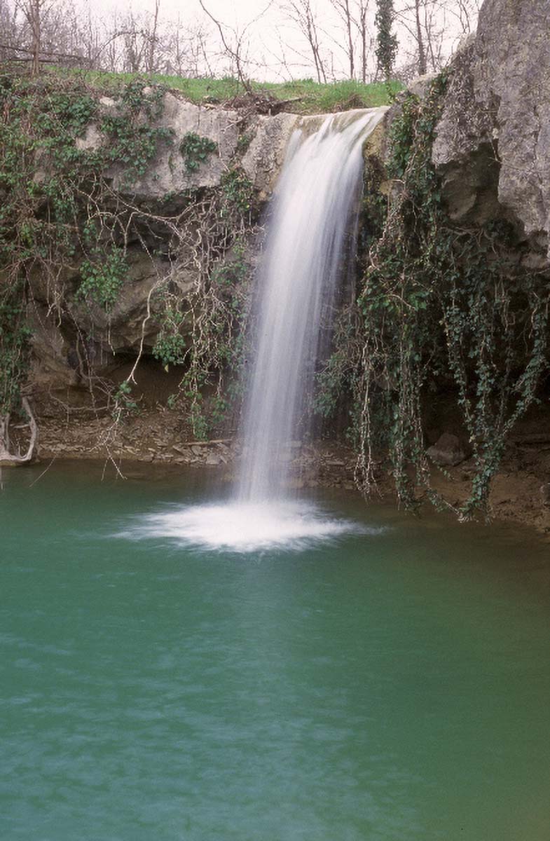 GOLOGORICKI SLAP P2A8