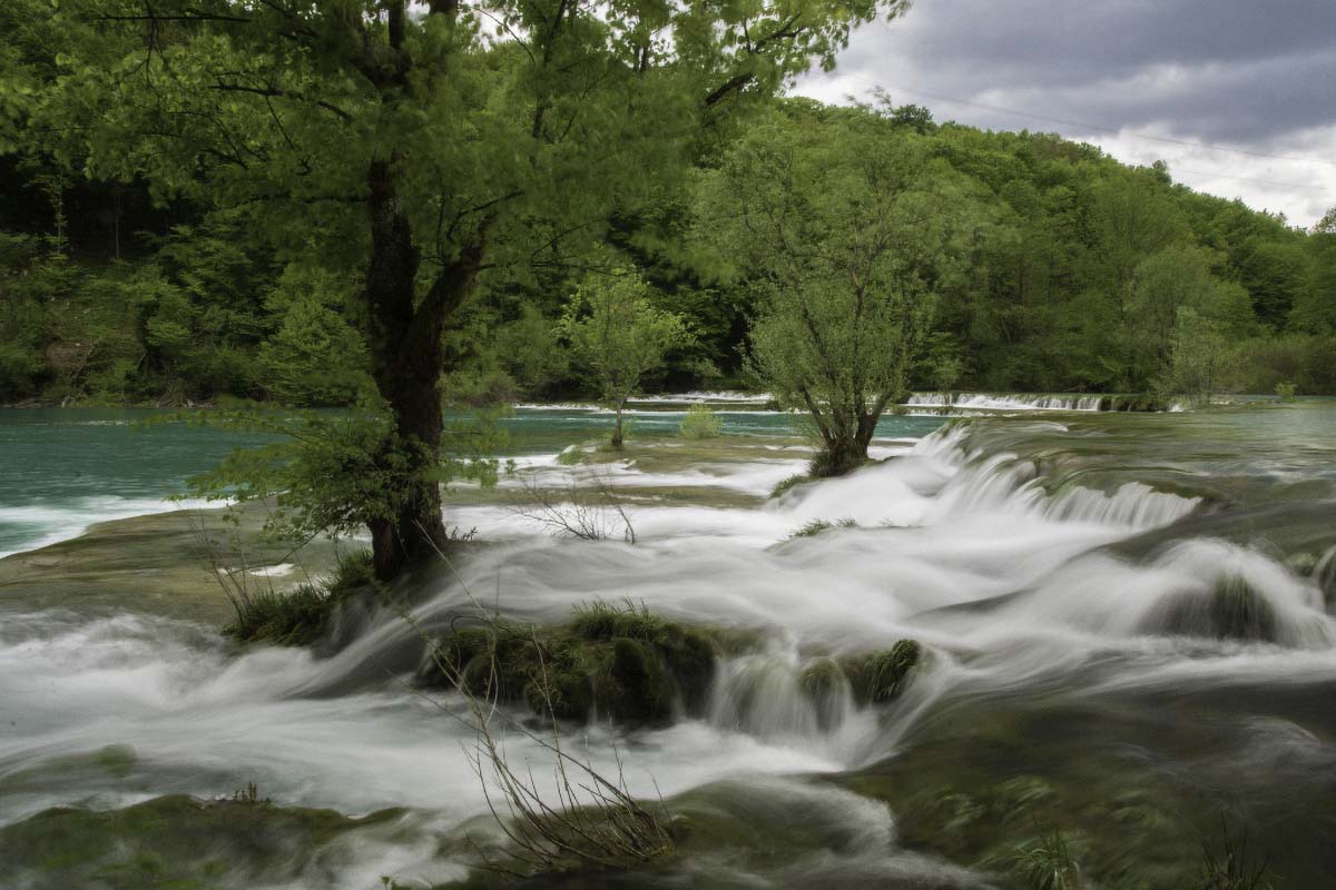 MREZNICA077 01 05 15