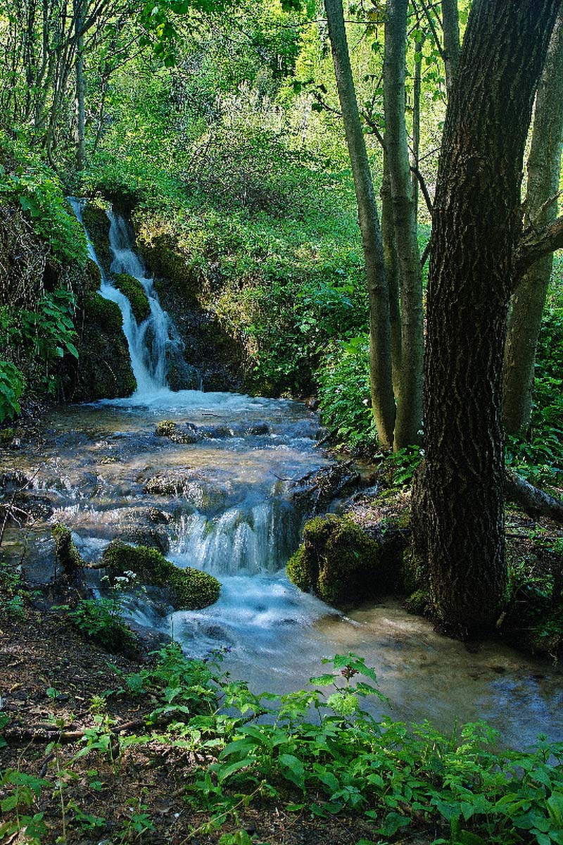 POTOK SUMI41 19 04 08