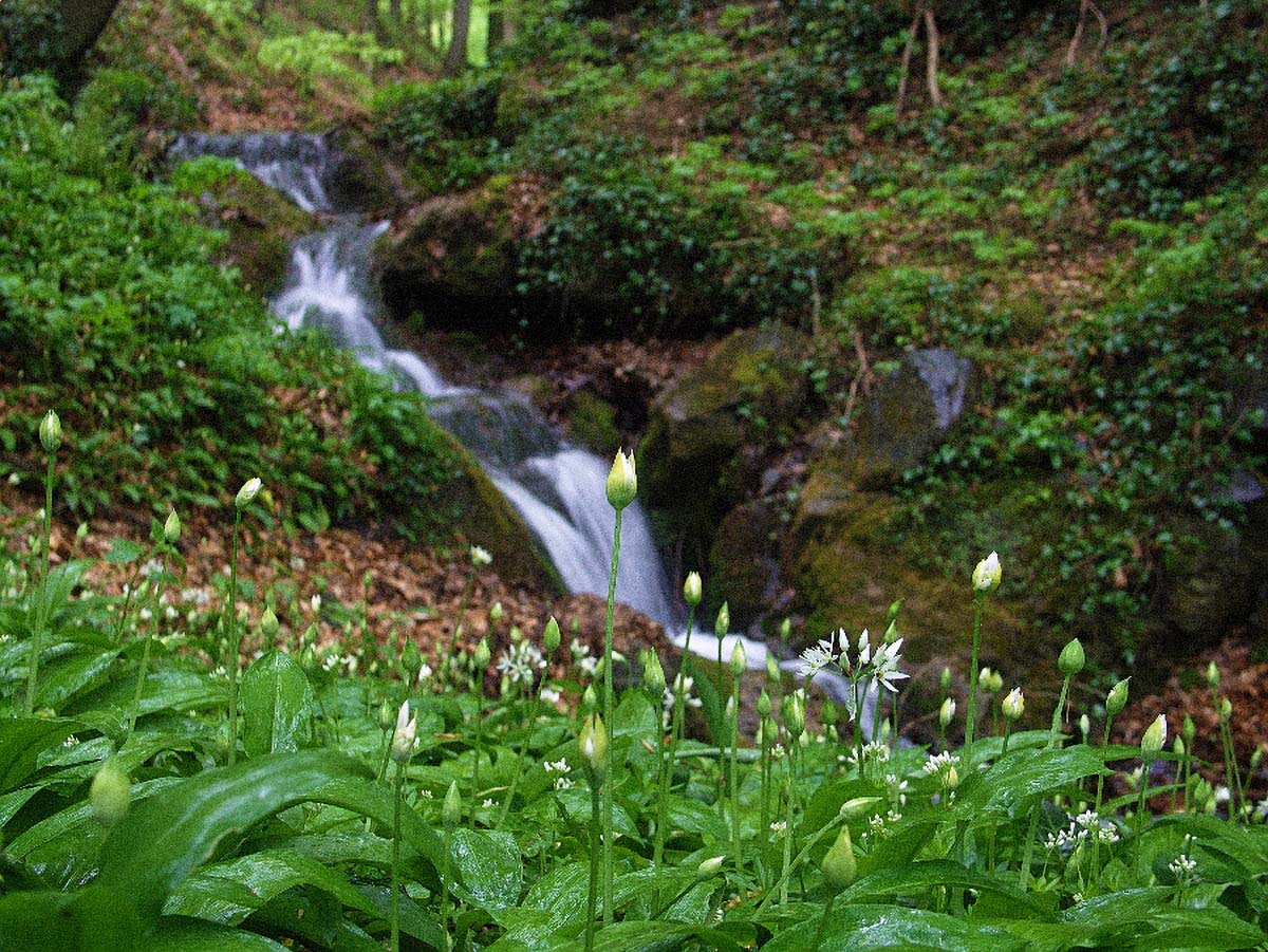 POTOK SUMI68 19 04 08