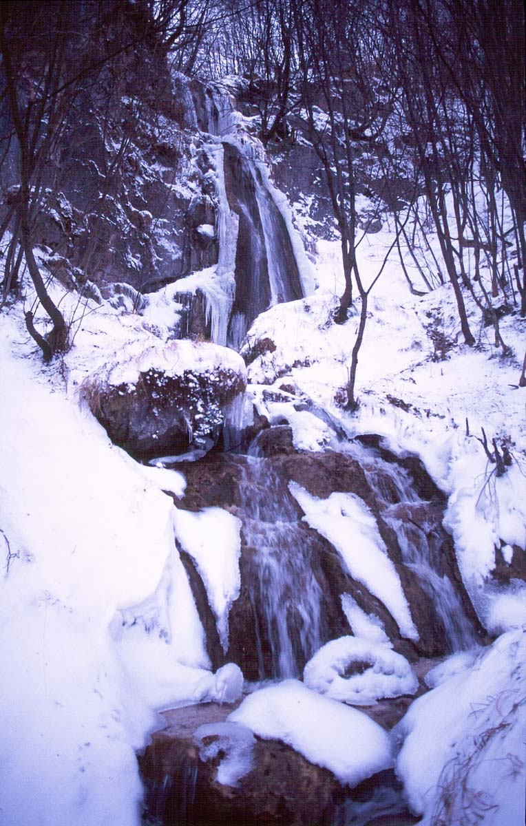 SOPOTSKI SLAP K11A36