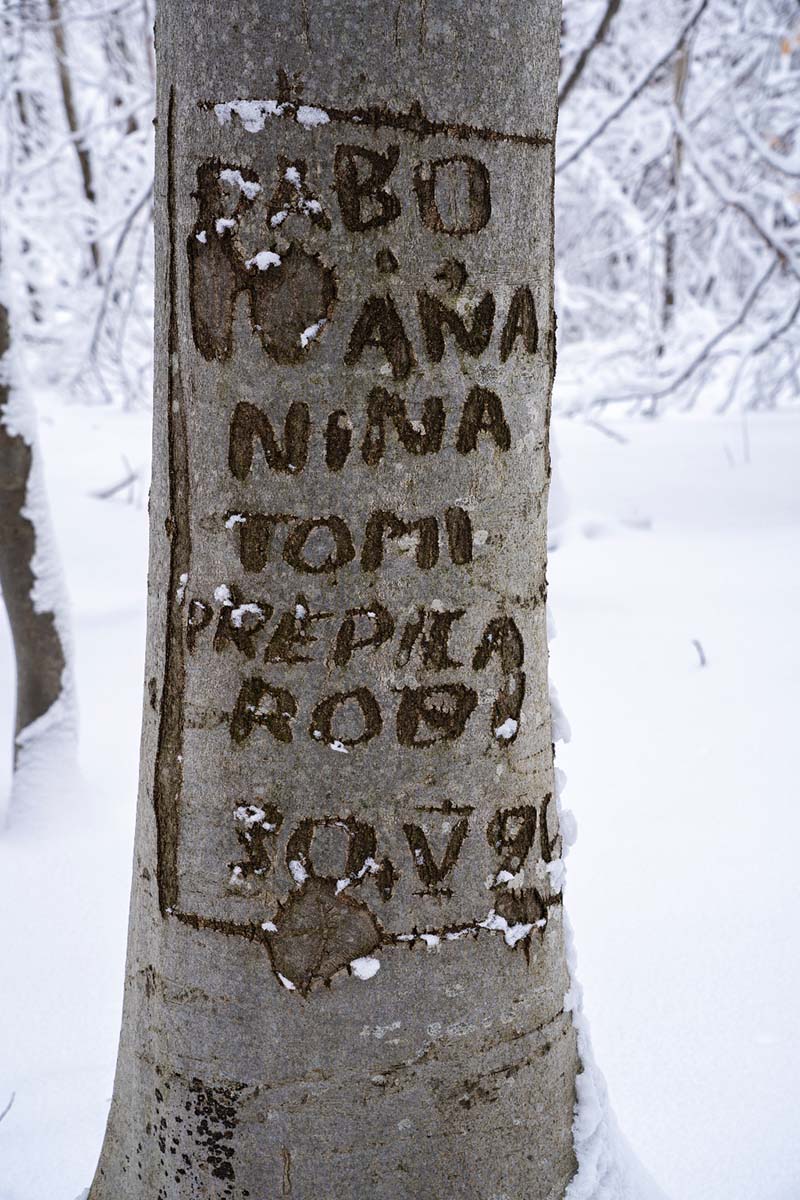 SAMOBORSKO GORJE082 18 01 19