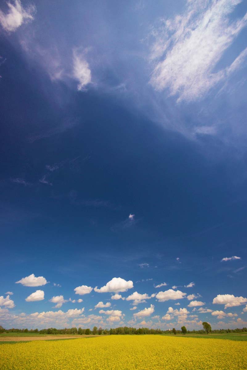 ULJANA REPICA23 18 04 09