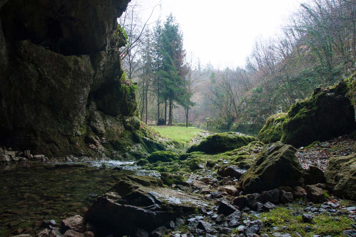 TOUNJCICA34 31 12 13