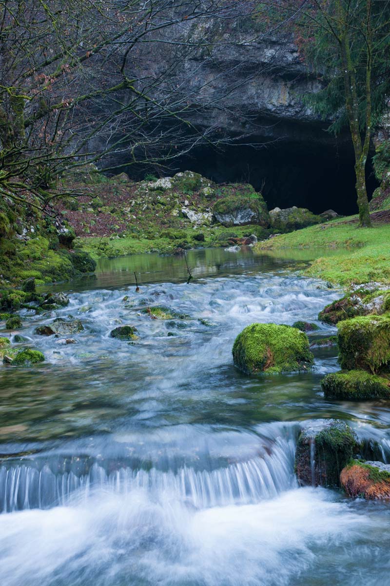 TOUNJCICA65 31 12 13