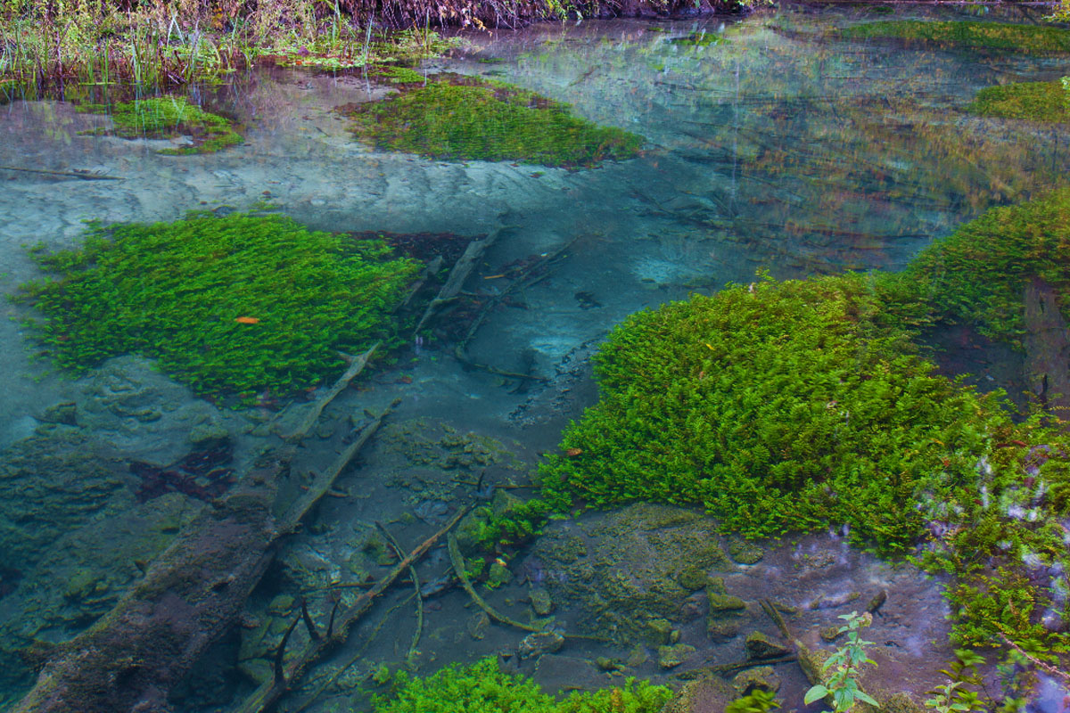 CRNA RIJEKA31 20 10 12