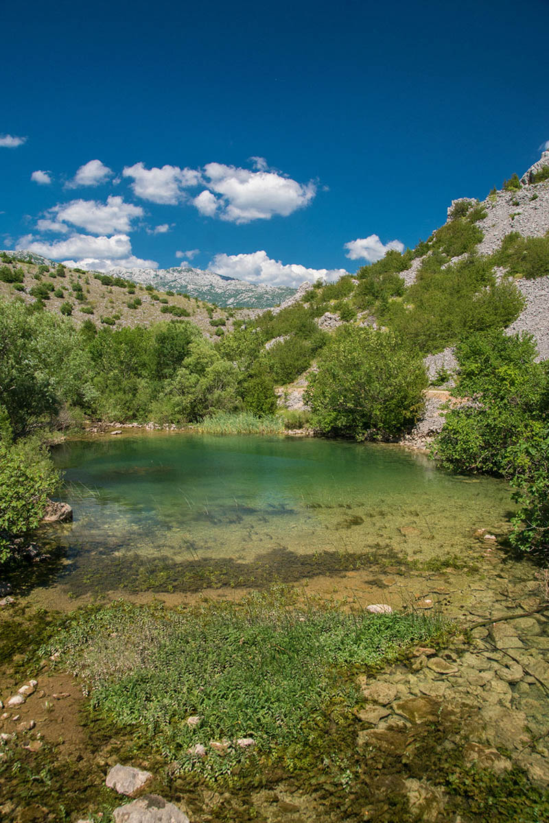 DOBARNICA05 27 05 17