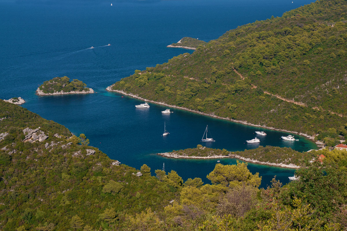 MLJET1171 13 08 13