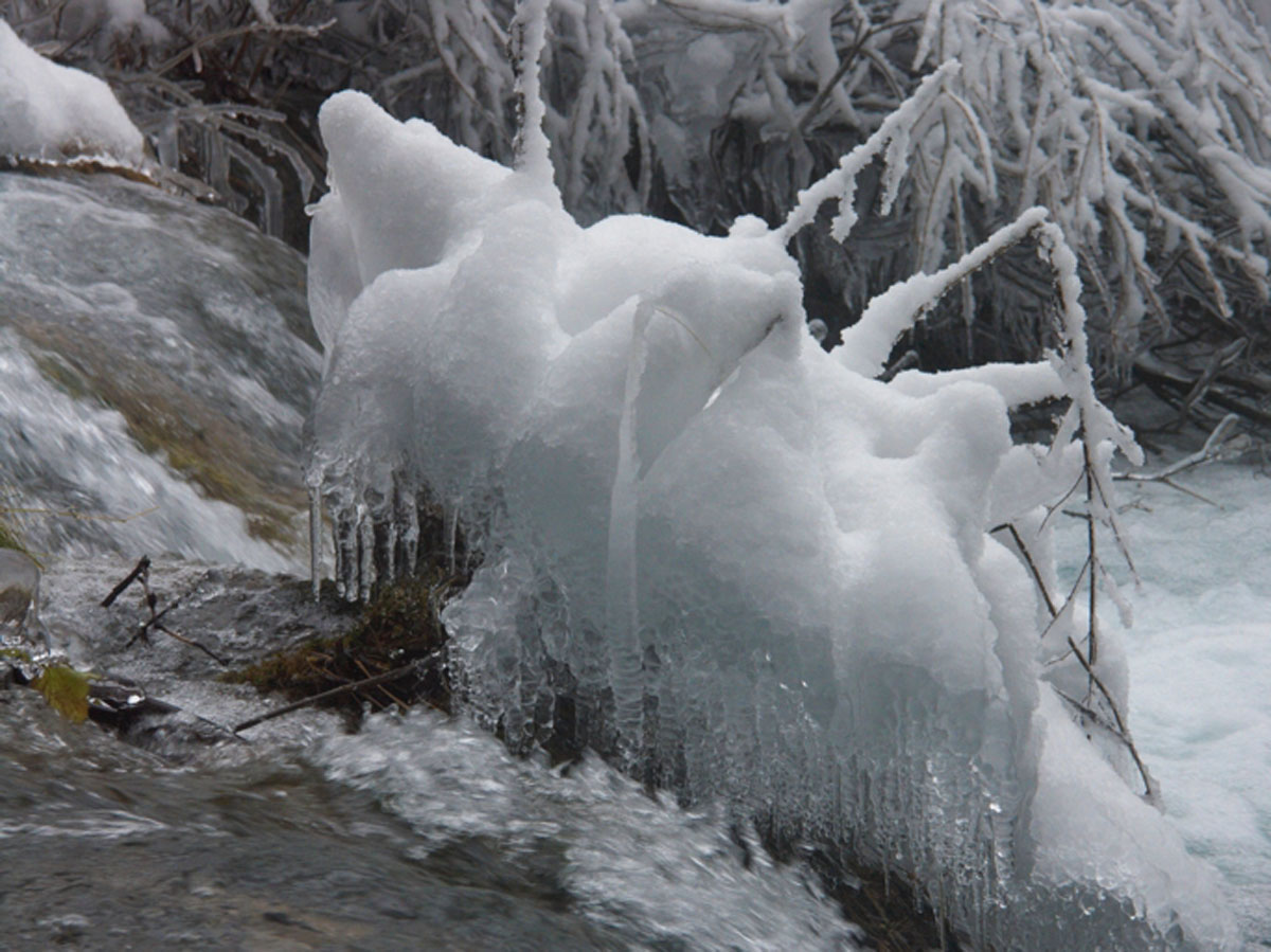 PLITVICE156 03 01 09