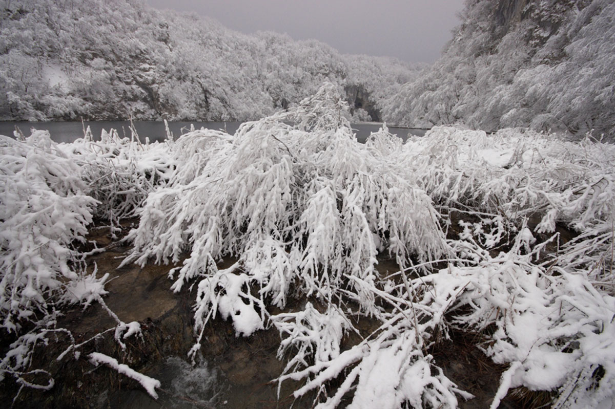 PLITVICE50 03 01 09
