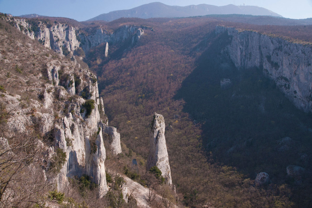 VELA DRAGA49 13 03 14