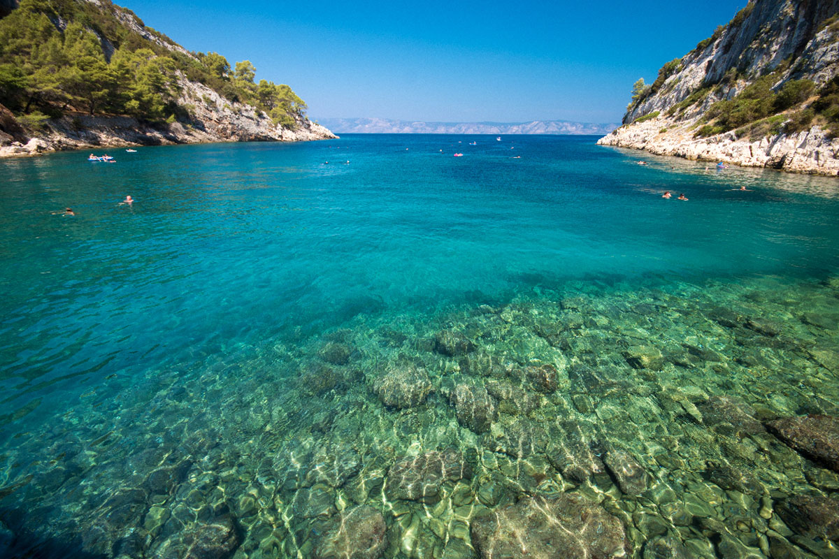 VELA STINIVA13 09 08 15