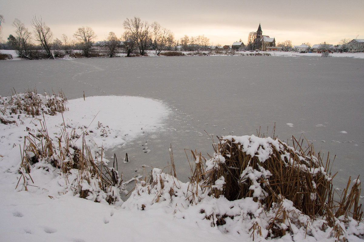 VELESEVEC30 14 01 17