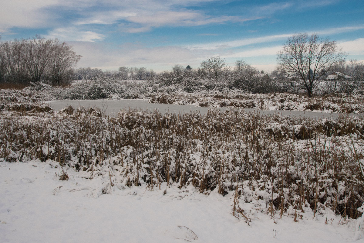 VELESEVEC52 14 01 17