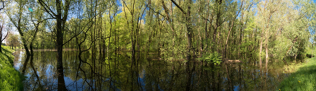 LONJSKO POLJE2 PANORAMA 21 04 18