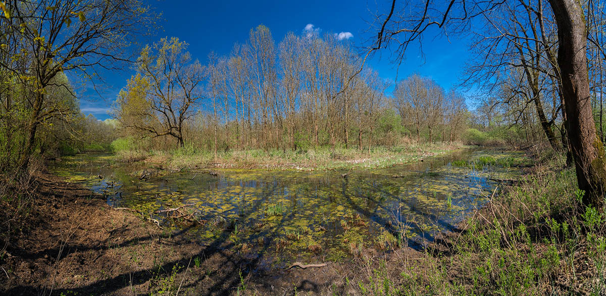 LONJSKO POLJE3 PANORAMA 24 04 21