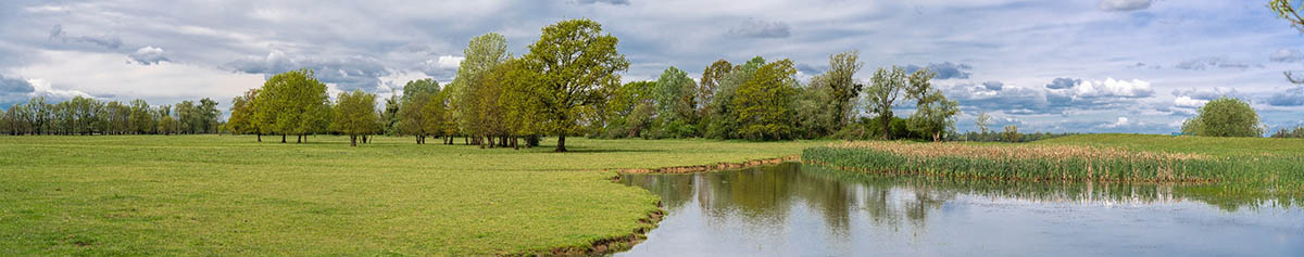 LONJSKO POLJE3 PANORAMA 30 04 21