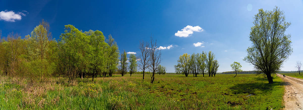 LONJSKO POLJE4 PANORAMA 24 04 21
