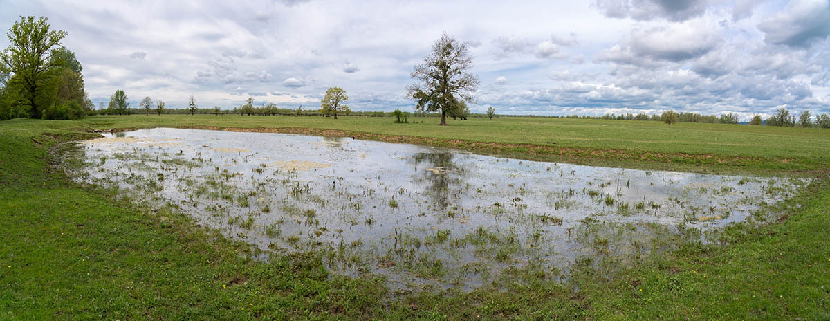 LONJSKO POLJE4 PANORAMA 30 04 21