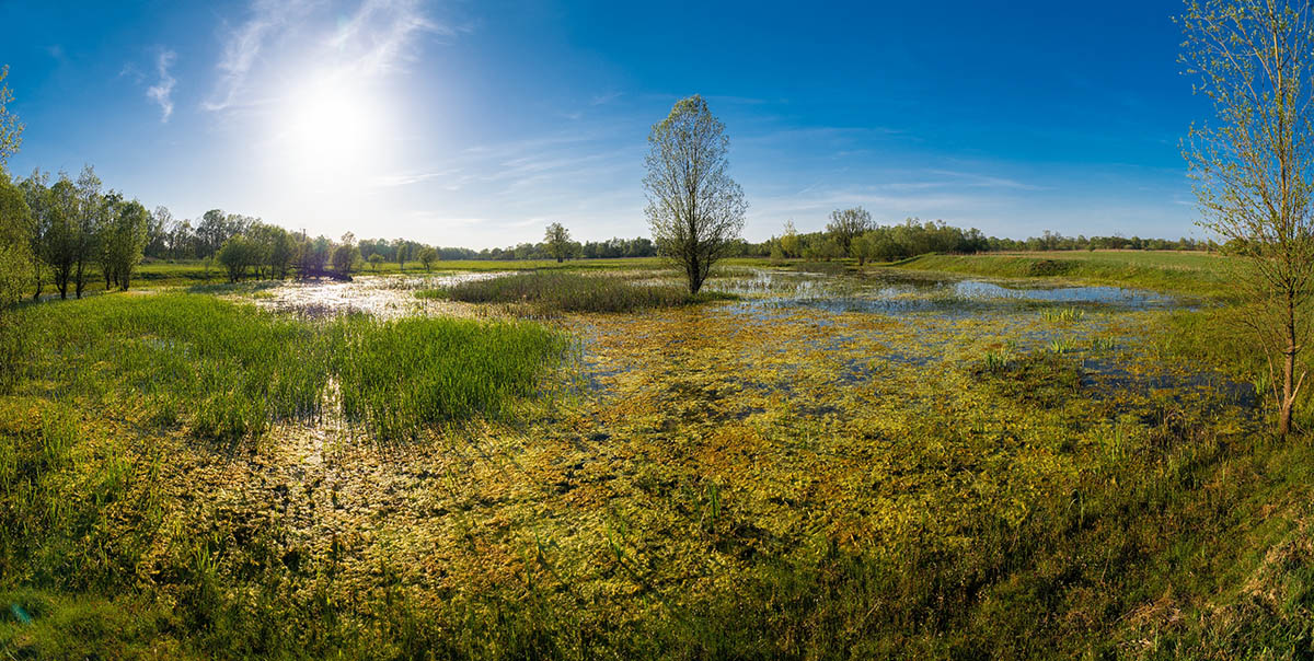 LONJSKO POLJE7 PANORAMA 24 04 21