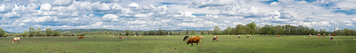 LONJSKO POLJE7 PANORAMA 30 04 21