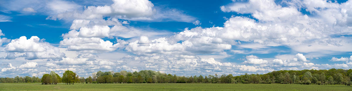 LONJSKO POLJE8 PANORAMA 30 04 21