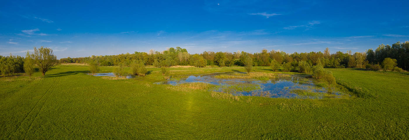 LONJSKO POLJE7 AIR PANORAMA 24 04 21
